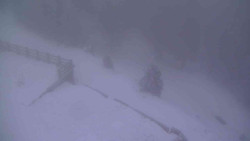 Přístup na běžeckou trať