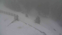 Přístup na běžeckou trať