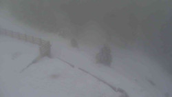 Přístup na běžeckou trať