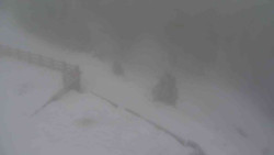 Přístup na běžeckou trať