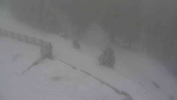 Přístup na běžeckou trať