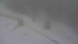 Přístup na běžeckou trať