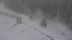 Přístup na běžeckou trať