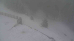 Přístup na běžeckou trať