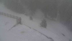 Přístup na běžeckou trať