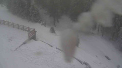 Přístup na běžeckou trať