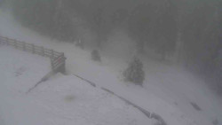 Přístup na běžeckou trať