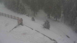 Přístup na běžeckou trať