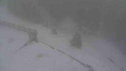 Přístup na běžeckou trať