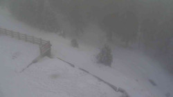 Přístup na běžeckou trať