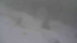 Přístup na běžeckou trať