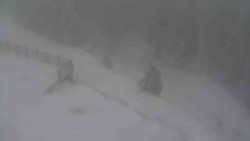 Přístup na běžeckou trať