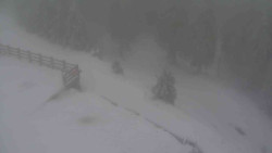 Přístup na běžeckou trať