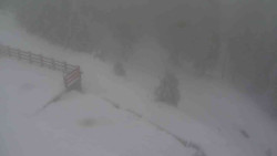 Přístup na běžeckou trať