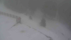 Přístup na běžeckou trať