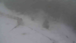 Přístup na běžeckou trať