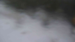 Přístup na běžeckou trať