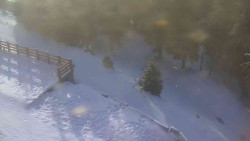 Přístup na běžeckou trať