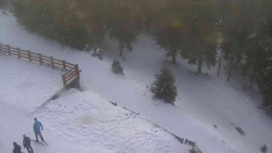 Přístup na běžeckou trať