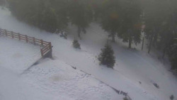 Přístup na běžeckou trať