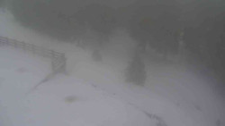 Přístup na běžeckou trať