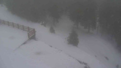 Přístup na běžeckou trať