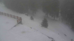 Přístup na běžeckou trať