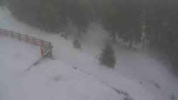 Přístup na běžeckou trať