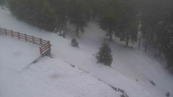 Přístup na běžeckou trať