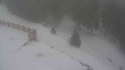 Přístup na běžeckou trať