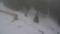 Přístup na běžeckou trať