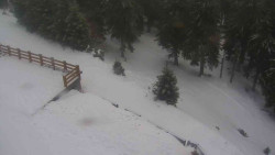 Přístup na běžeckou trať