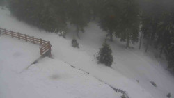 Přístup na běžeckou trať