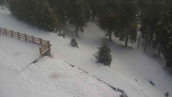 Přístup na běžeckou trať