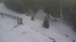 Přístup na běžeckou trať