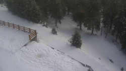 Přístup na běžeckou trať