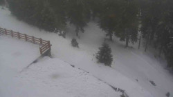 Přístup na běžeckou trať