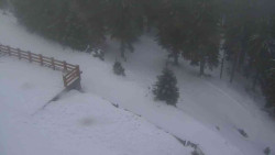 Přístup na běžeckou trať