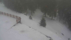 Přístup na běžeckou trať