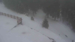 Přístup na běžeckou trať