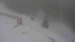 Přístup na běžeckou trať