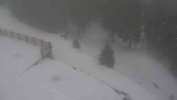 Přístup na běžeckou trať