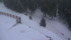 Přístup na běžeckou trať