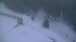 Přístup na běžeckou trať