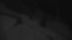 Přístup na běžeckou trať