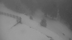 Přístup na běžeckou trať