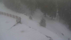 Přístup na běžeckou trať