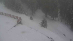 Přístup na běžeckou trať