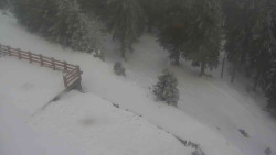 Přístup na běžeckou trať