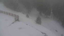 Přístup na běžeckou trať